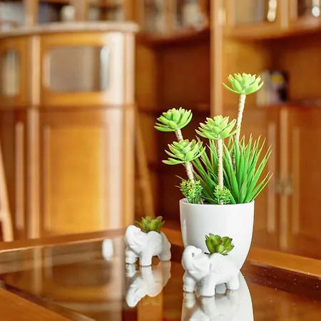 Costa Avila 2 Caniço